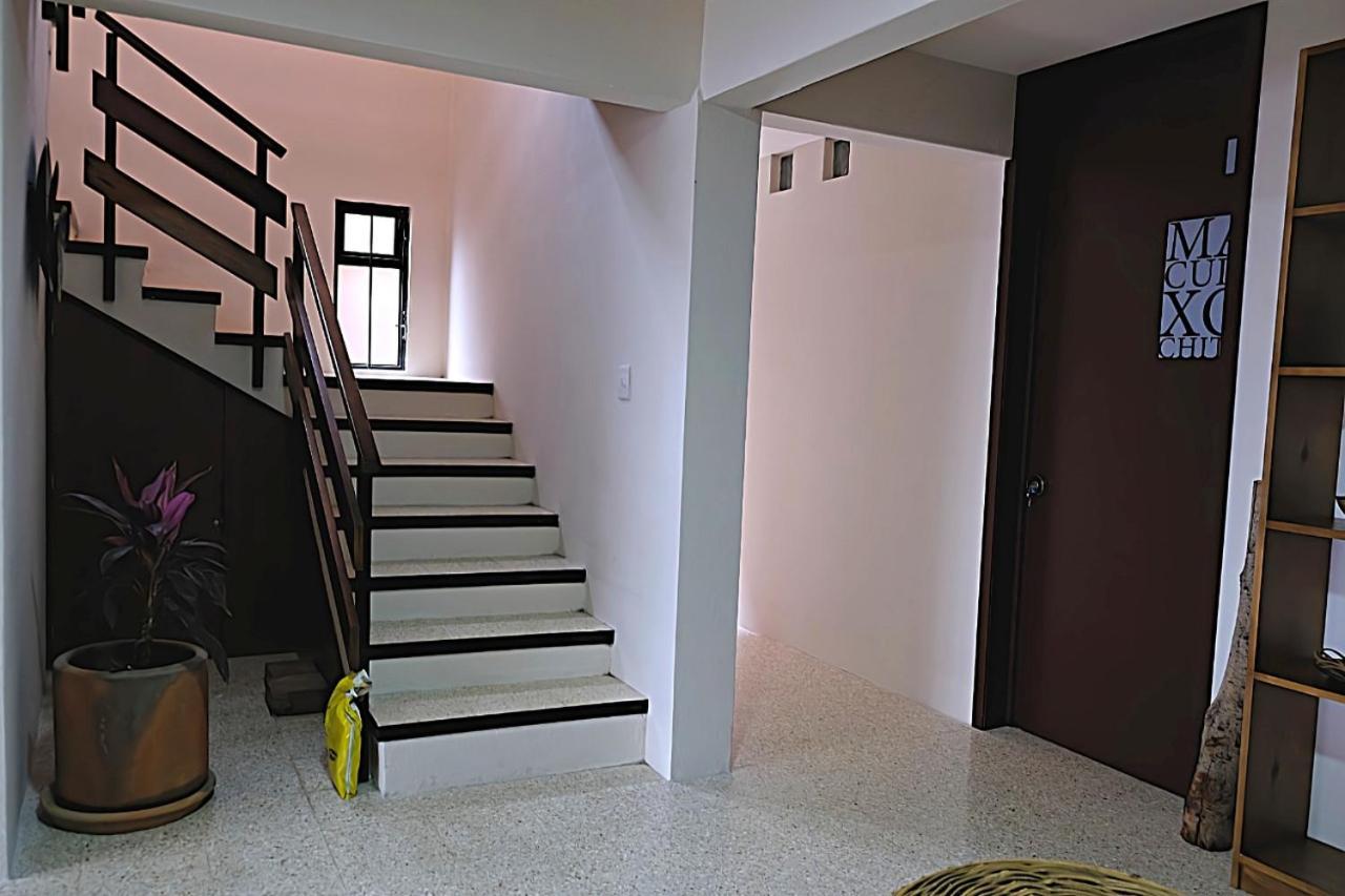 Casa Cronica Daire Oaxaca Dış mekan fotoğraf