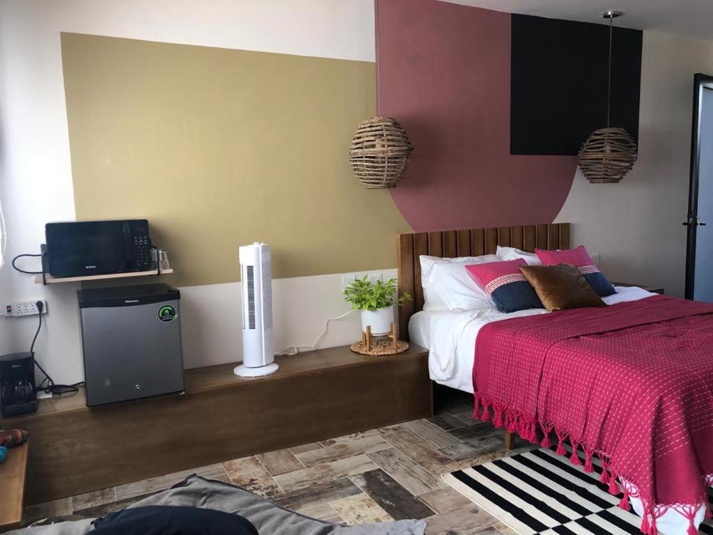 Casa Cronica Daire Oaxaca Dış mekan fotoğraf