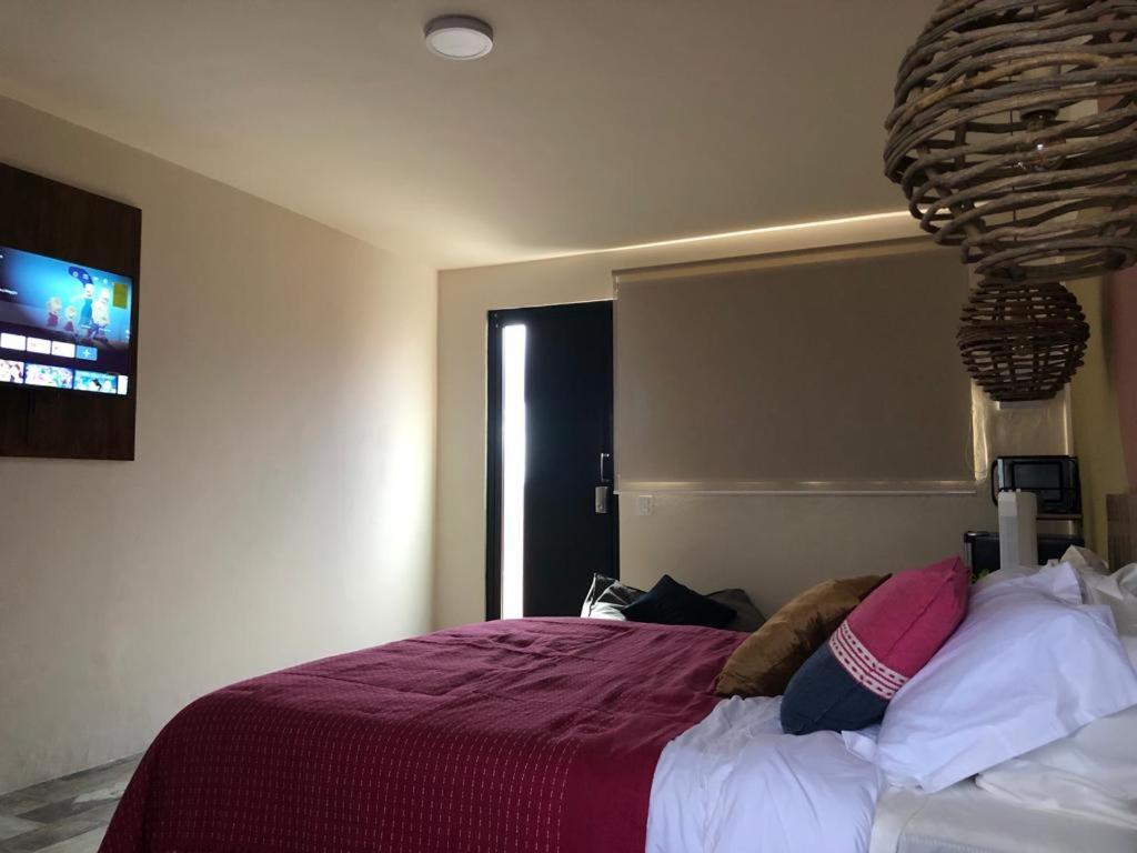 Casa Cronica Daire Oaxaca Dış mekan fotoğraf