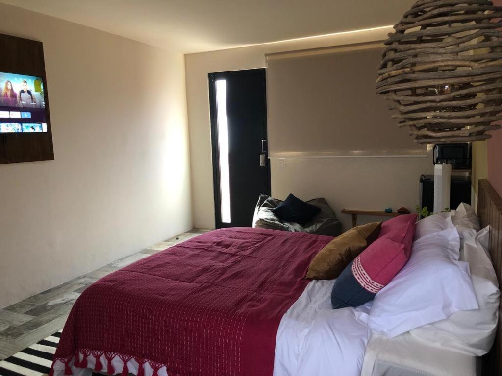 Casa Cronica Daire Oaxaca Dış mekan fotoğraf