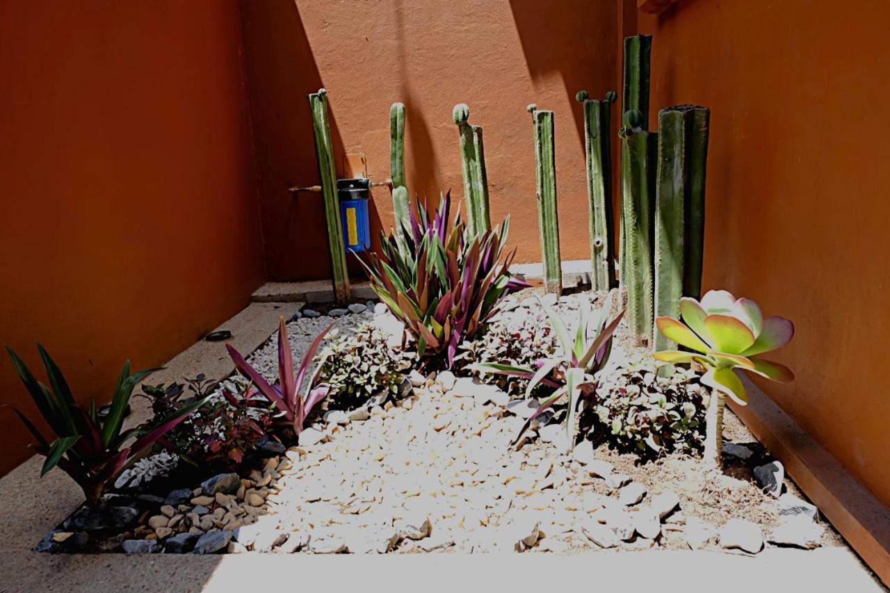Casa Cronica Daire Oaxaca Dış mekan fotoğraf